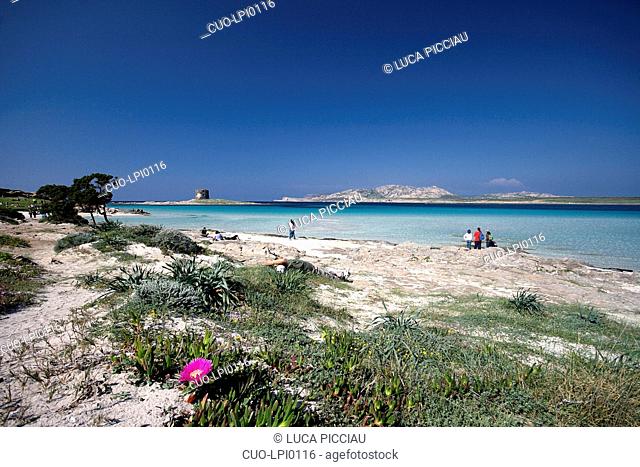 Pelosa beach, Stintino, Sardinia, Italy