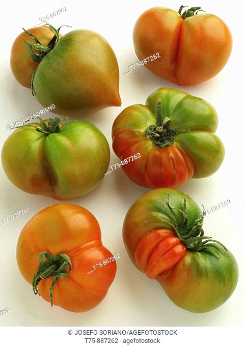 Tomato salad (Solanum lycopersicum)