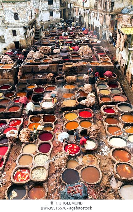 dye factory, Morocco, Fes