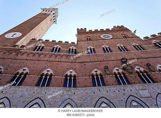 Torre del Mangia and Palazzo Pubblico, Siena, Province of Siena, Tuscany, Italy