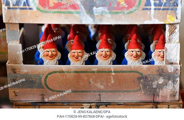 Garden gnomes, photographed at the garden gnome manufactory in Graefenroda, Germany, 25 August 2017. More than 500 different figures between four and 60...