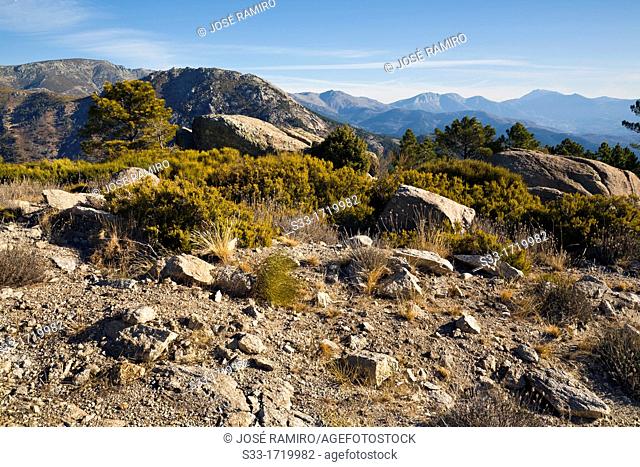 Sierra de Gredos from the Arbillas peak  Ávila  Castilla León  Spain