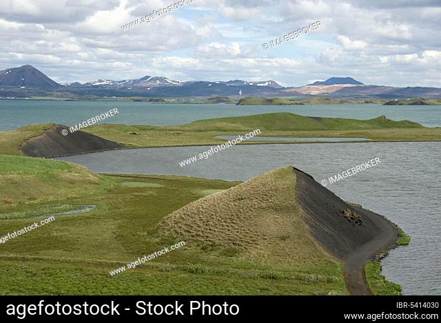 Pseudo-crater Skutustadir, Kalfaströnd, Myvatn, Midge Lake, Iceland, Europe