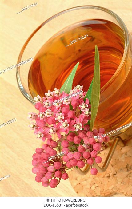 medicinal tea - herbtea - te - infuso - tisana -
