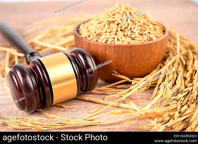 Judge gavel hammer with good grain rice from agriculture farm. Law and justice court concept