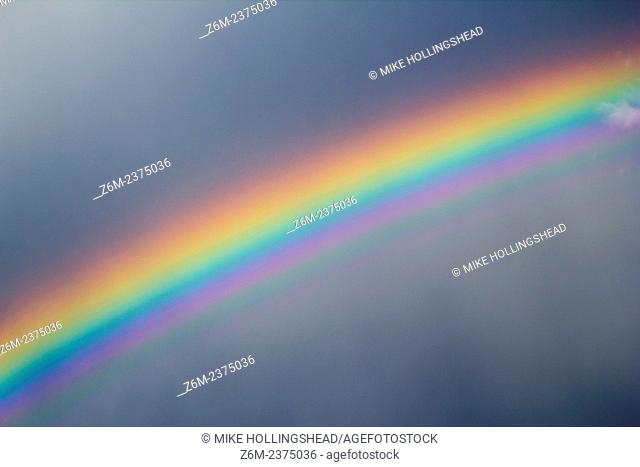 Vivid rainbow forms following rain shower near Blair Nebraska along with supernumeraries