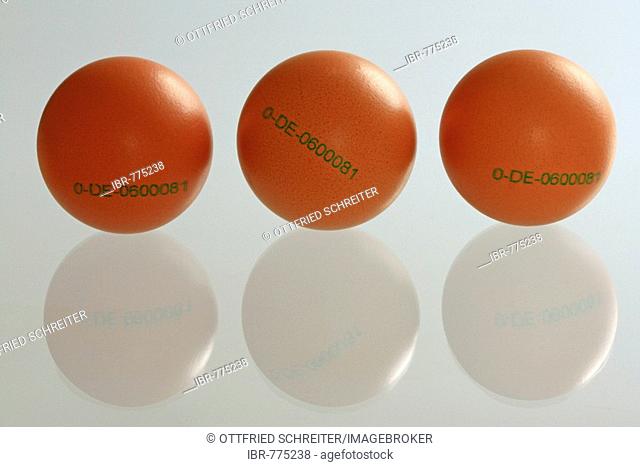 Organic brown eggs with stamps of origin, country of origin: Germany