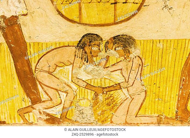 UNESCO World Heritage, Thebes in Egypt, Valley of the Nobles, tomb of Menna. Detail of an agricultural scene, 2 young girls are fighting for fallen ears of...
