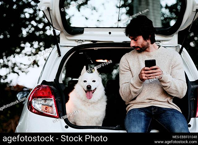 Mid adult man looking at dog while using mobile phone sitting in car trunk at forest