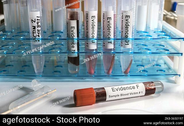 Hematological analysis with forensic test kit in a murder in a crime lab, conceptual image
