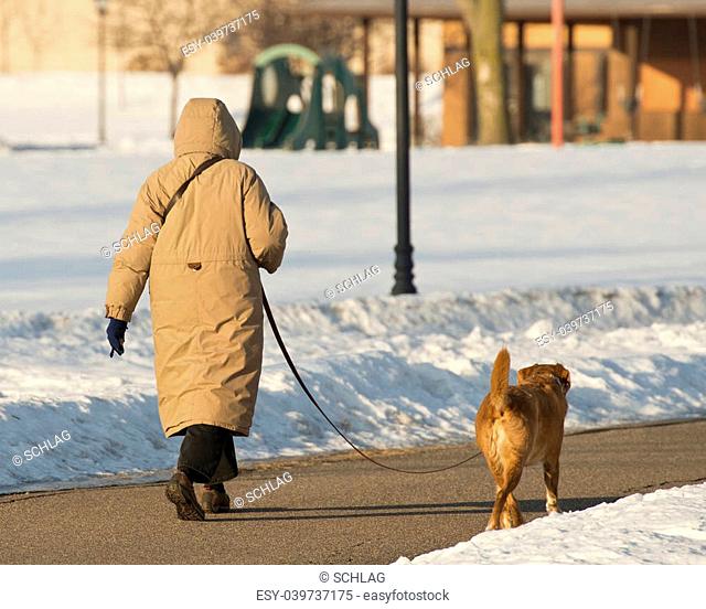 Woman walking her dog on a winter day