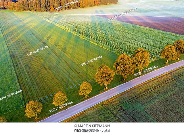 Germany, Bavaria, tree-lined country road near Dietramszell at sunrise, drone view