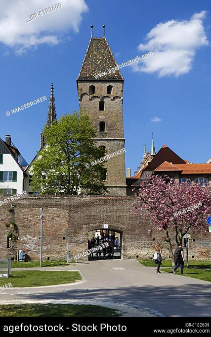 Metzgerturm, city gate, city wall on the banks of the Danube, medieval city fortification, Ulm, Baden-Württemberg, Germany, Europe