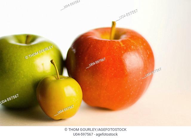 Apple variety