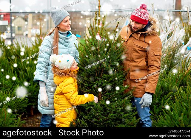 happy family choosing christmas tree at market