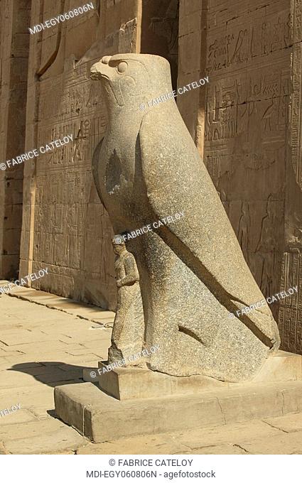 Granite falcon, representing the God Horus, at the entry