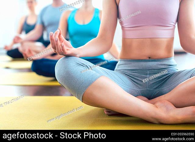 Group of people meditating during yoga in easy seat pose