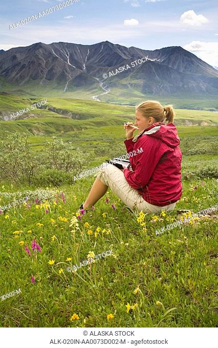 Woman writes in her journal while sitting amid wildflowers on the tundra near Eielson visitor center Denali NP Alaska