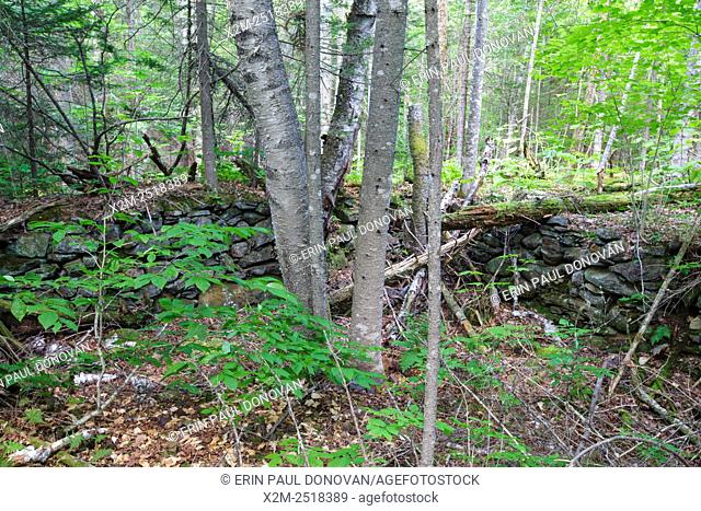 The Atwood Place home site cellar hole along Sandwich Notch Road in Sandwich, New Hampshire USA. During the early nineteenth century