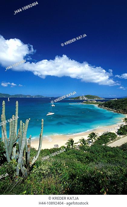 British Virgin Islands, Virgin Islands, Caribbean, island, isle, Peter Island, , outside, sea, palms, tourism, tra
