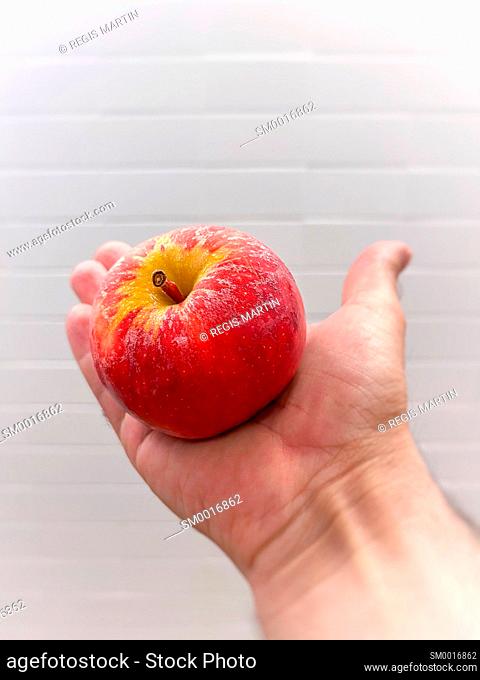 Man's hand holding an apple fruit against white bricks wall