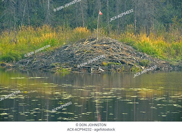 A beaver lodge with a Canadian Flag, Yellowknife, Ingraham Trail, Northwest Territories, Canada