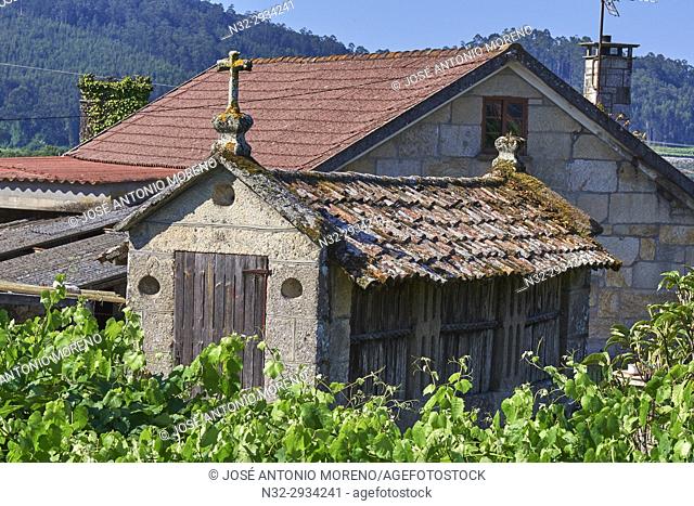 Meaño, Albariño Area, Albariño Grape Vineyard, Horreo, Pontevedra, Galicia, Spain