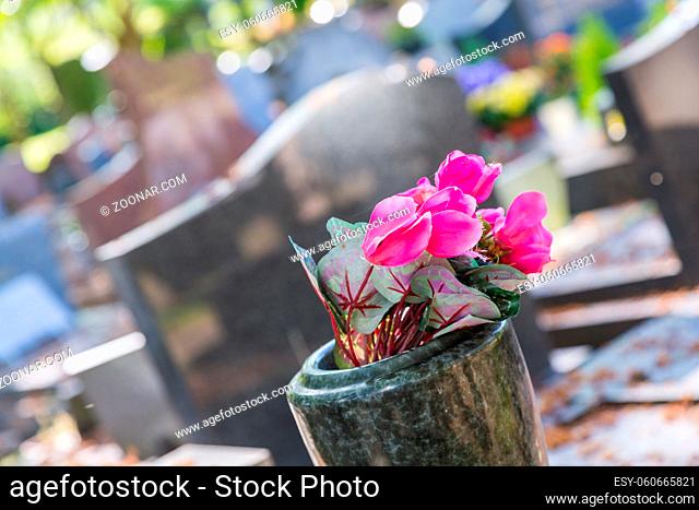 Flowers on a headstones in a cemetery with hundreds of tombstones in the background