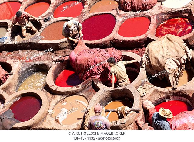 Dyeing leather, dye district, Medina or historic town centre, UNESCO World Heritage Site, Fes or Fez in Morocco, Africa