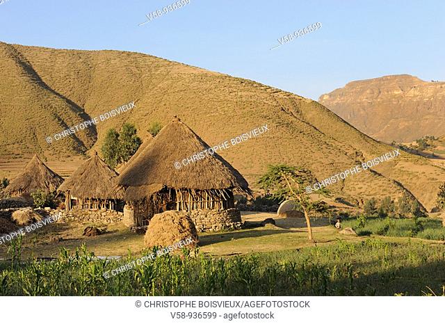 Amhara village. Welo province. Lalibela region. Ethiopia