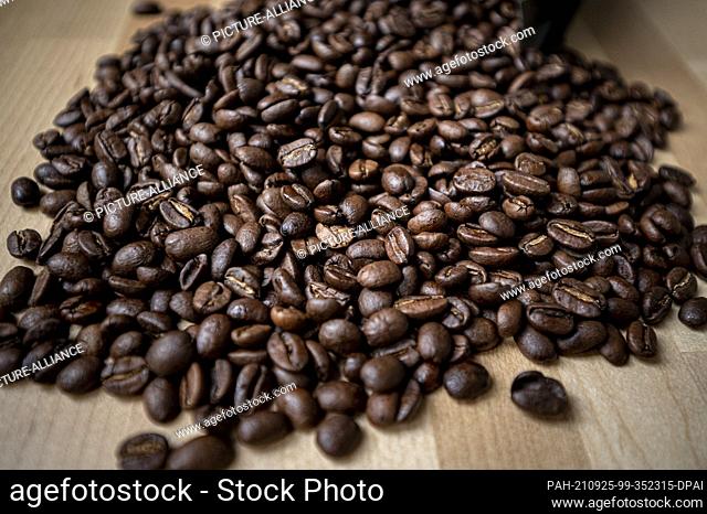 24 September 2021, Berlin: Roasted coffee beans lie on a table. Coffee is the Germans' favourite drink - per capita consumption averaged 168 litres in 2020