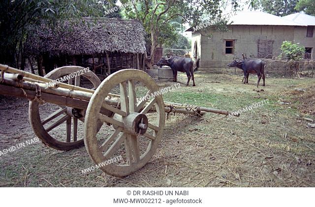 A typical rural area with buffellow and cart, Gazipur 2004, Bangladesh