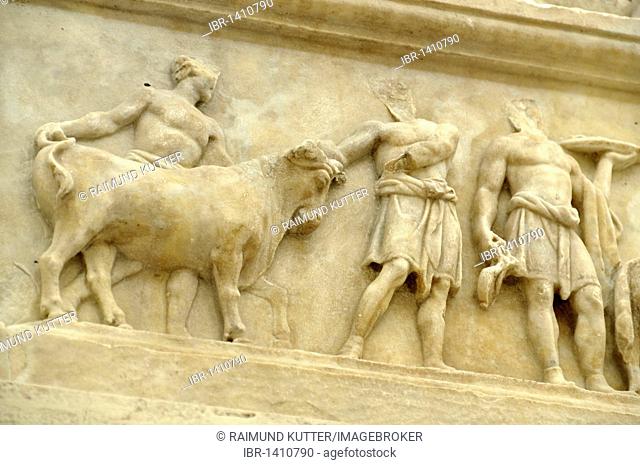 Relief frieze of a sacrificial procession, altar crown, Altar of Augustan Peace, Ara Pacis Augustae, Rome, Lazio, Italy, Europe
