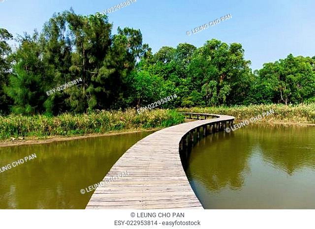 Forest and lake with wooden path