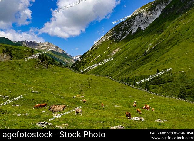 20 July 2021, Austria, Sankt Jakob: An alp with cows in the Defereggen valley in Tyrol. The Defereggen valley lies in the middle of the Hohe Tauern National...