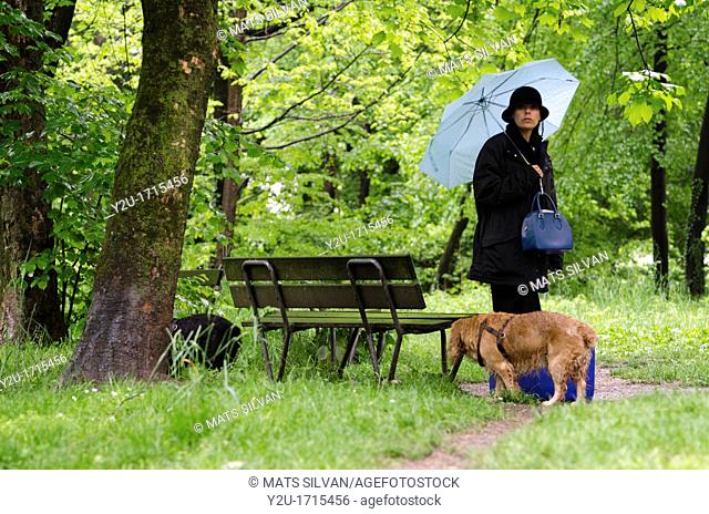 Woman with a blue umbrella standing up close to a wet bench in the green forest with grass and two cocker spaniel dogs and her suitcase