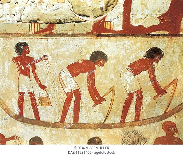 Egypt - Ancient Thebes (UNESCO World Heritage List, 1979). Shaykh 'Abd al-Qurnah (Abd el-Qurna). Tomb of Nakht. Mural paintings. Agricultural works