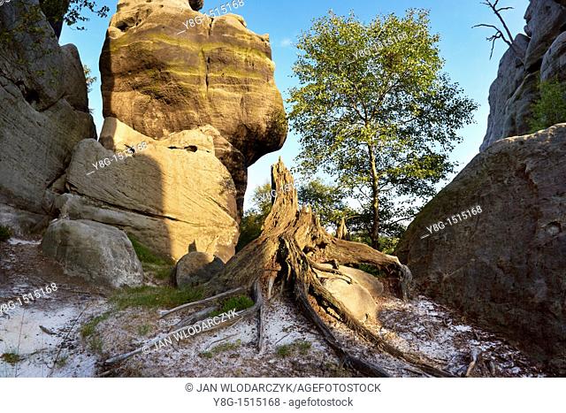 Rock Formation at Szczeliniec - Sudety Mountains, National Park, Poland, Europe