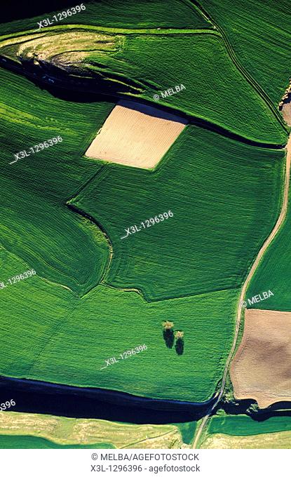 Farmlands, Bureba Region in the Way of Saint James, Burgos province, Castile-Leon, Spain