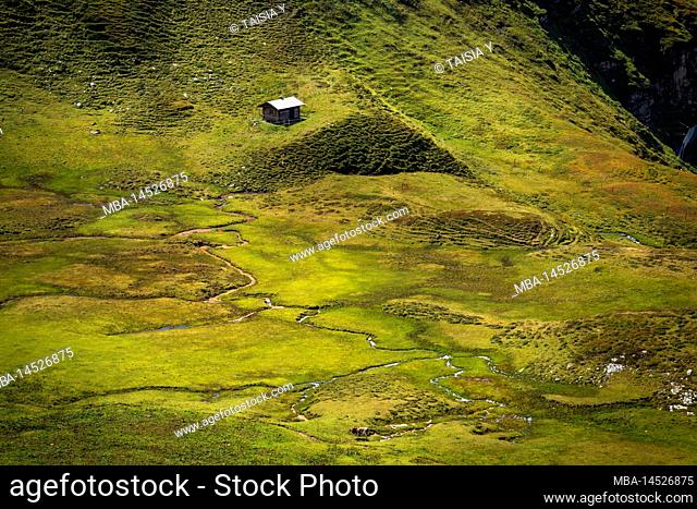 Austria, Salzburg, Carinthia, Hohe Tauern National Park, Grossglockner High Alpine Road, Idyllic green meadow with an alpine hut in the high Alps on a sunny day...