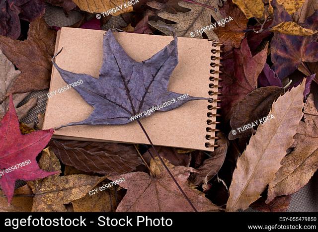 Open blank notebook with fallen autumn leaves as a background