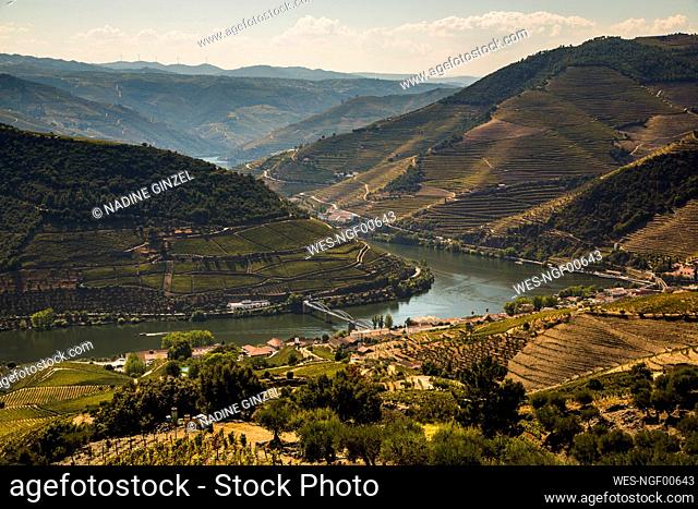 Scenic view of terraced hills surrounding river Douro