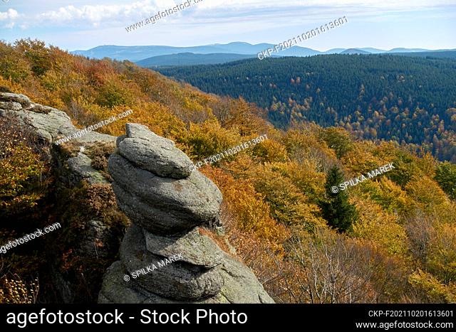 An area of the Jizera Mountains in North Bohemia known as Jizerskohorske buciny (Jizera Mts Beechwod) has been placed on the UNESCO World Heritage List in 2021
