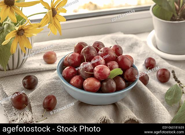 On the windowsill there is a blue ceramic plate with fresh ripe plums on a napkin. Next to it is a vase with yellow flowers. Front view, close-up