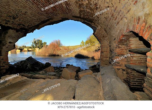 Ruins of ancient water mill on the river Zújar, Campanario, Badajoz province, Extremadura, Spain