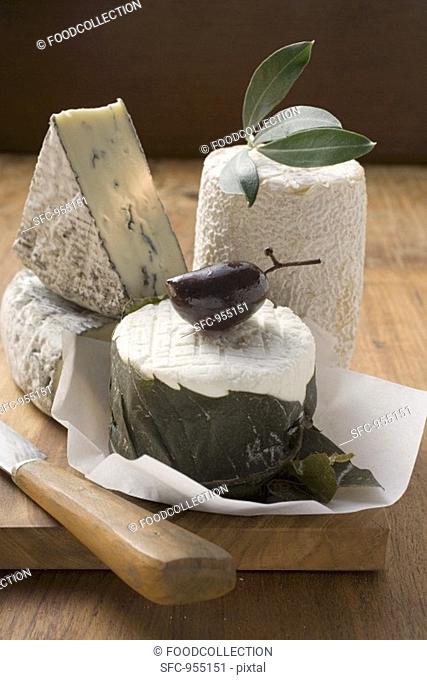 Blue cheese, goat's cheese and olive