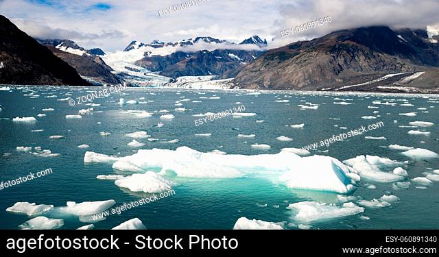 Small icebergs fill the bay in front of Aialik Glacier at Kenai Fjords National Park Alaska