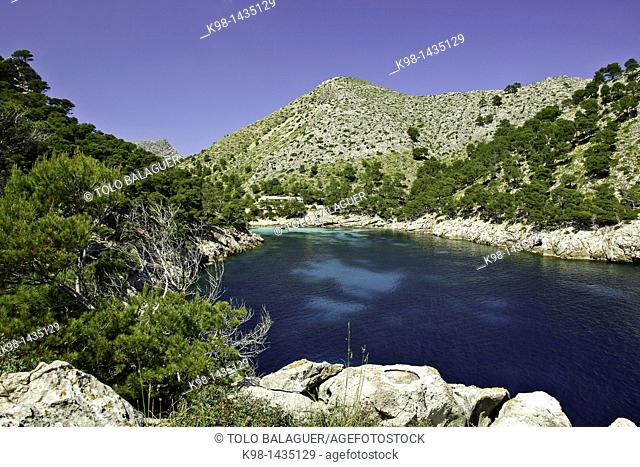 Cala Murta, Peninsula de Formentor Sierra de Tramuntana Majorca Balearic Islands Spain