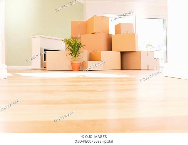 Boxes stacked on wooden floor of new house