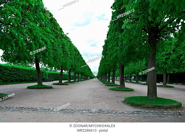 Peterhof Palace.Lower Park gardens